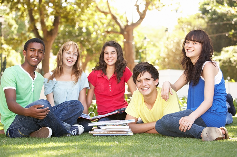 Students Healthy Smile  Students Healthy Smile